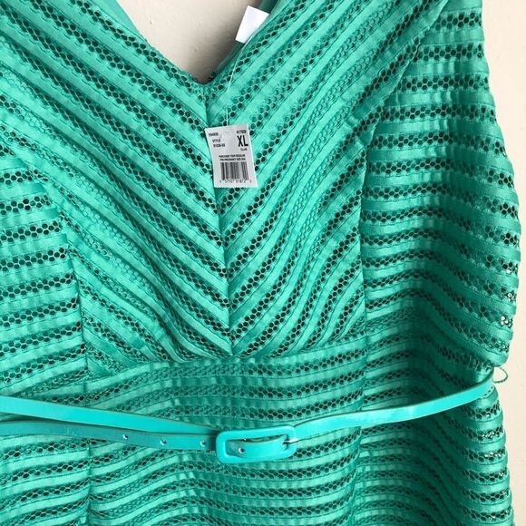 HOST PICK!!! Motherhood Maternity Green belted  jacquard dress - Picture 3 of 5